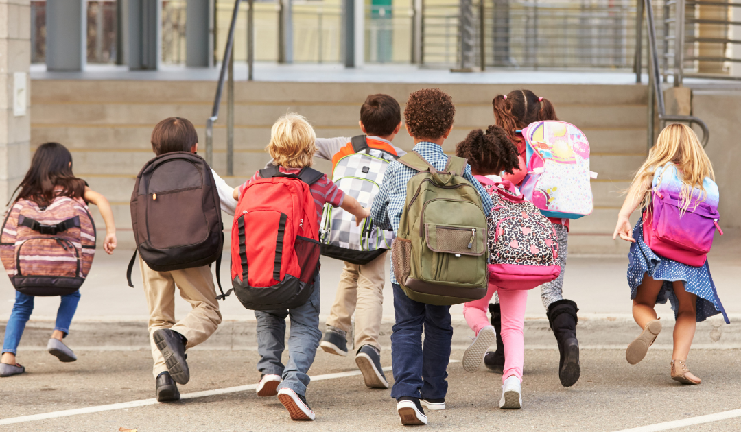 Analysis: Parental Rights & Secret Identity Transition in Schools